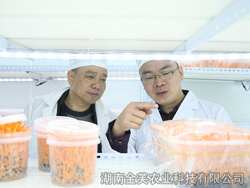 衡陽(yáng)縣領(lǐng)導蒞臨指導工作