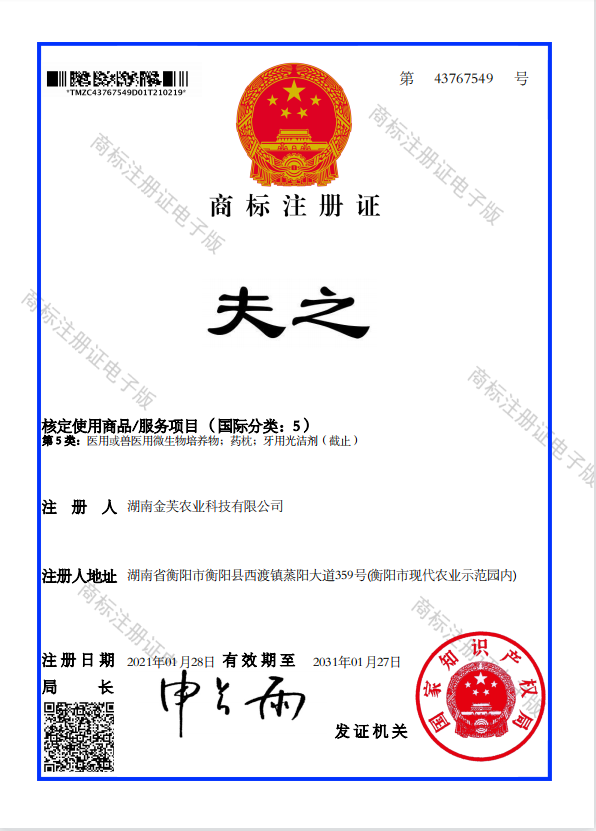 湖南金芙農業(yè)科技有限公司,湖南蛹蟲(chóng)草,湖南羊肚菌,蛹蟲(chóng)草,羊肚菌,龍新,蟲(chóng)草酒哪里好,衡陽(yáng)食用菌,衡陽(yáng)羊肚菌,衡陽(yáng)蛹蟲(chóng)草