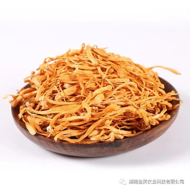 湖南金芙農業(yè)科技有限公司,湖南蛹蟲(chóng)草,湖南羊肚菌,蛹蟲(chóng)草,羊肚菌,龍新,蟲(chóng)草酒哪里好,衡陽(yáng)食用菌,衡陽(yáng)羊肚菌,衡陽(yáng)蛹蟲(chóng)草